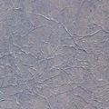 Tissue Texture Blue Silver