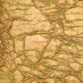 Tissue Texture Green